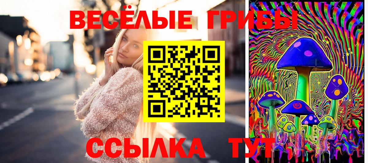 Галлюциногенные грибы Psilocybine cubensis  Вход с VPN  Чусовой 